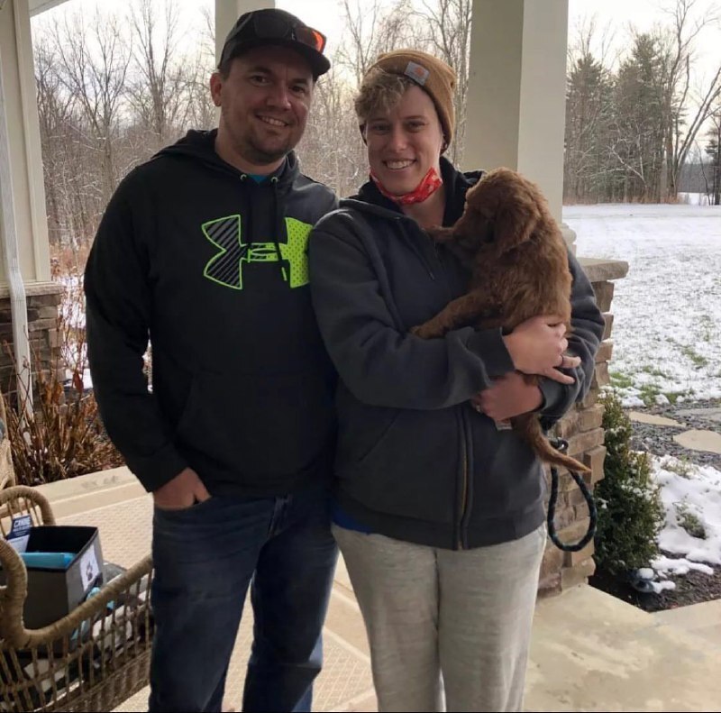 Canada teacup maltipoo online